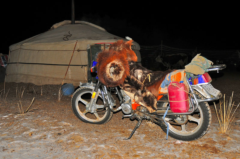 Mongolie